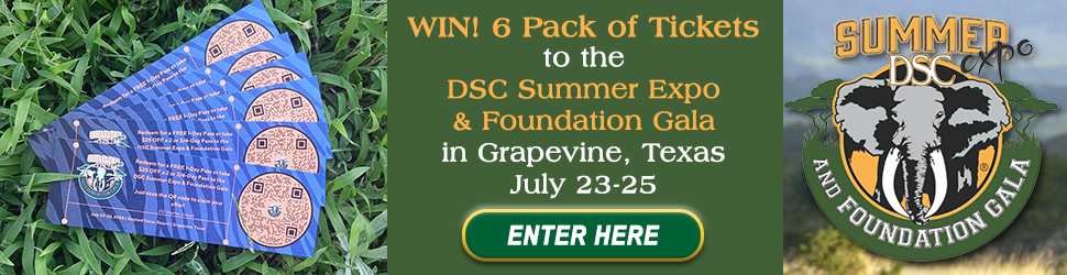 WIN DSC Summer Expo Tickets to DSC Summer Expo-Foundation Gala 2026